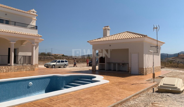 New Build - Villa - Pinoso - Camino Del Prado