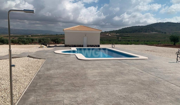 New Build - Villa - Pinoso - Camino Del Prado