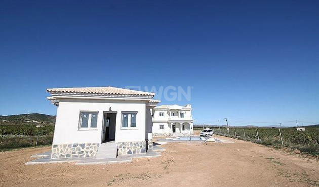 New Build - Villa - Pinoso - Camino Del Prado