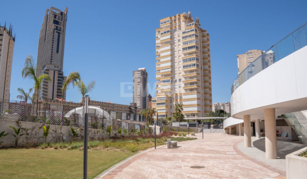 Odsprzedaż - Mieszkanie w bloku - Benidorm - Costa Blanca