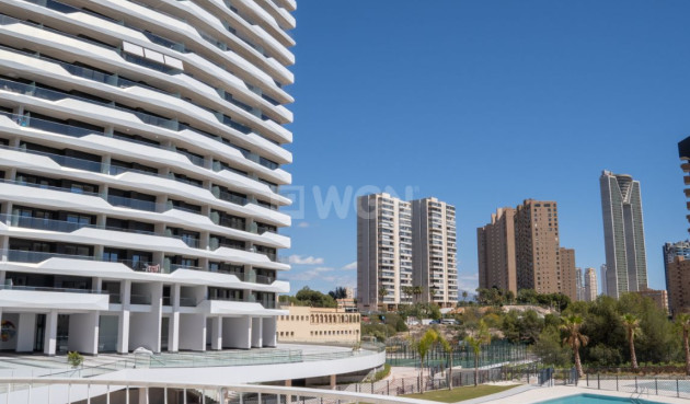 Odsprzedaż - Mieszkanie w bloku - Benidorm - Costa Blanca