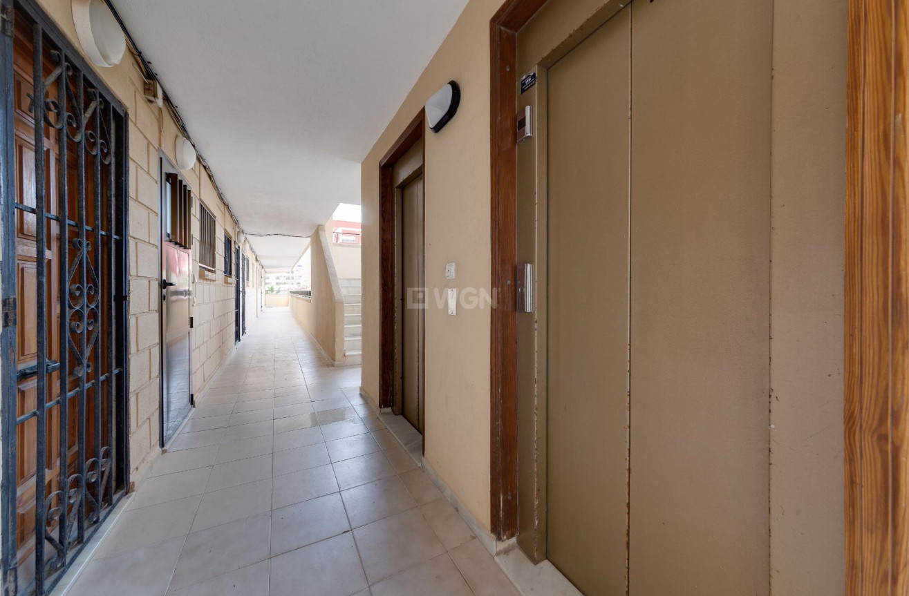 Reventa - Apartamento / piso - Torrevieja - Costa Blanca