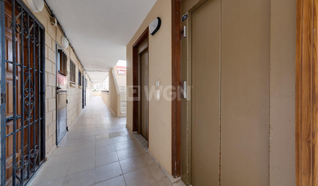 Reventa - Apartamento / piso - Torrevieja - Costa Blanca