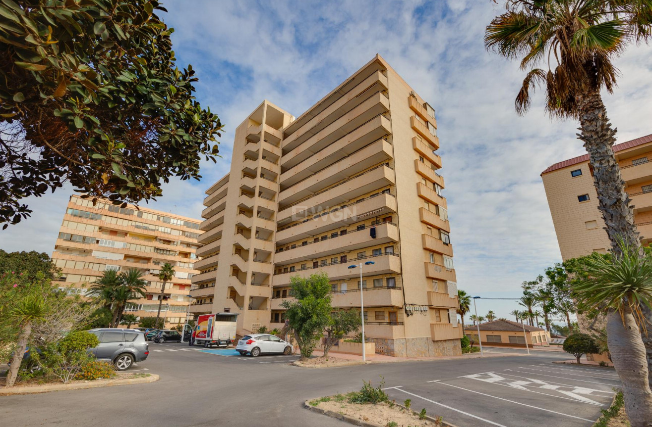 Reventa - Apartamento / piso - Torrevieja - Costa Blanca