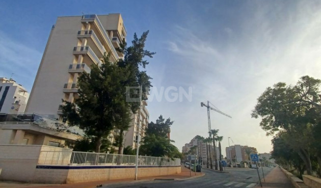 Odsprzedaż - Mieszkanie w bloku - Guardamar del Segura - Costa Blanca