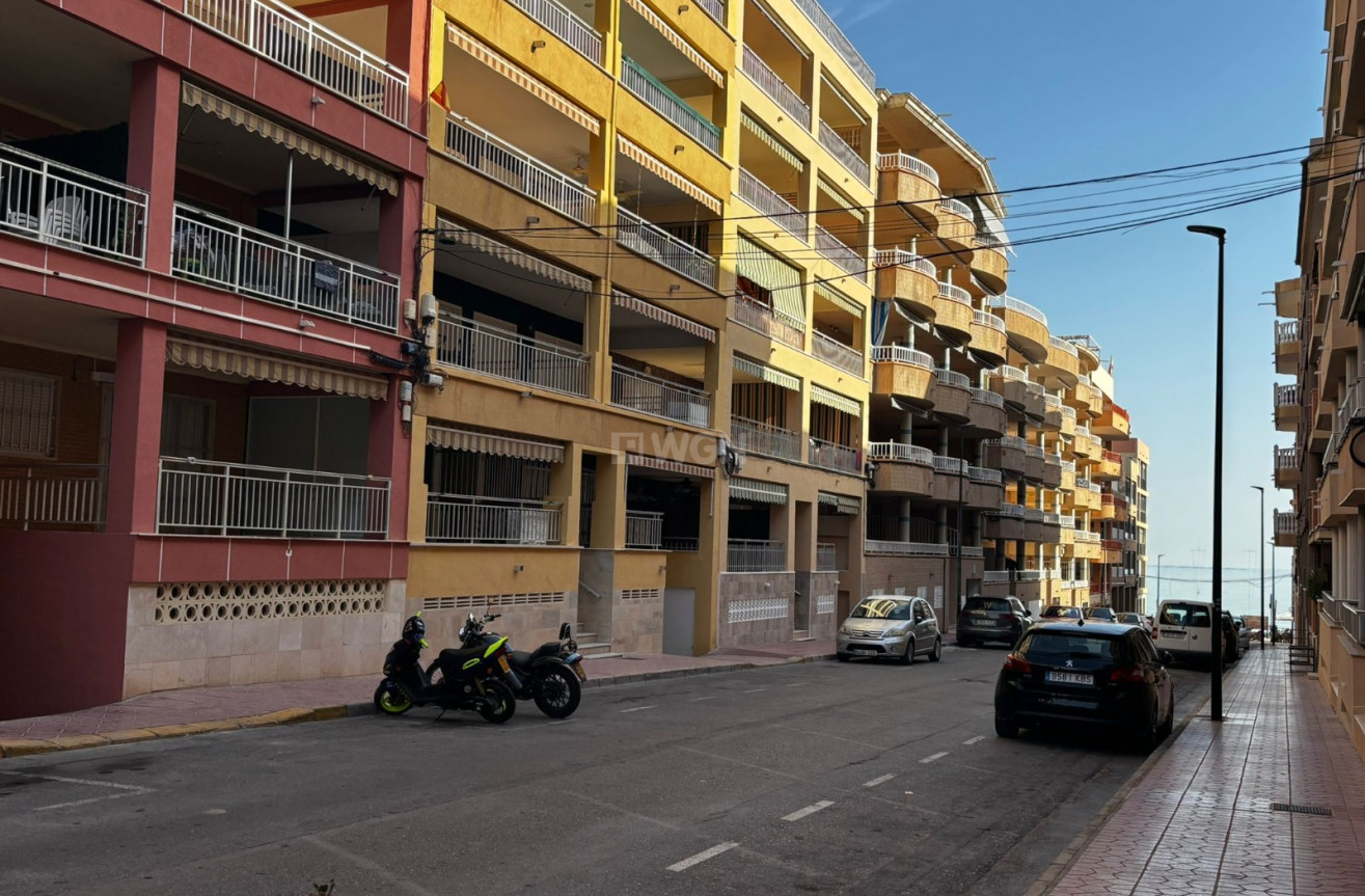 Odsprzedaż - Mieszkanie w bloku - Guardamar del Segura - Costa Blanca