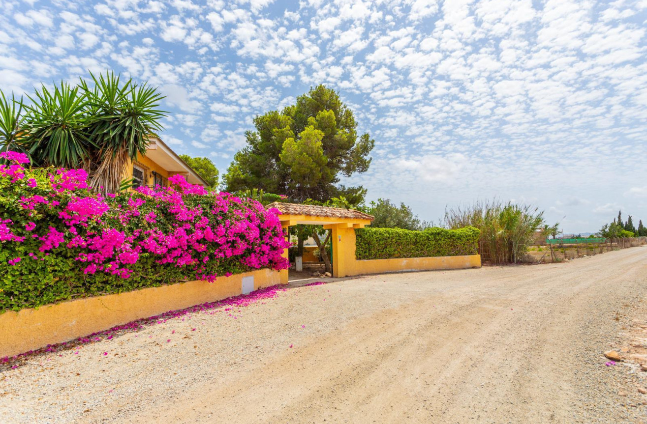 Resale - Villa - Los Montesinos - Costa Blanca