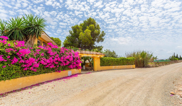 Resale - Villa - Los Montesinos - Costa Blanca