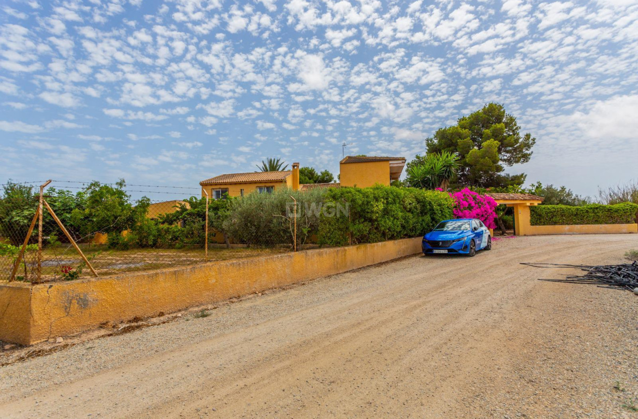 Resale - Villa - Los Montesinos - Costa Blanca