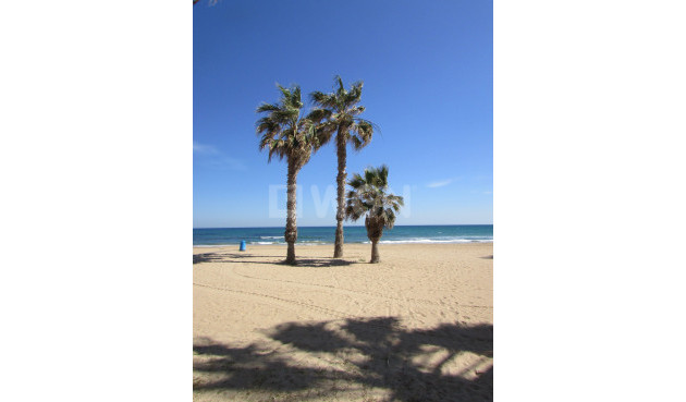 Resale - Apartment / flat - La Mata - Costa Blanca