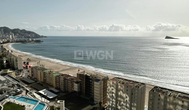 Resale - Apartment / flat - Benidorm - Playa de Poniente