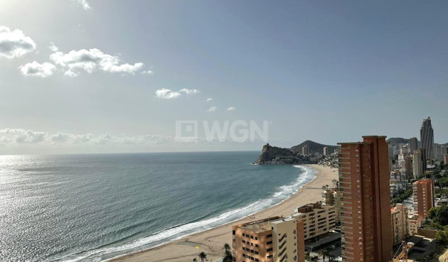 Resale - Apartment / flat - Benidorm - Playa de Poniente