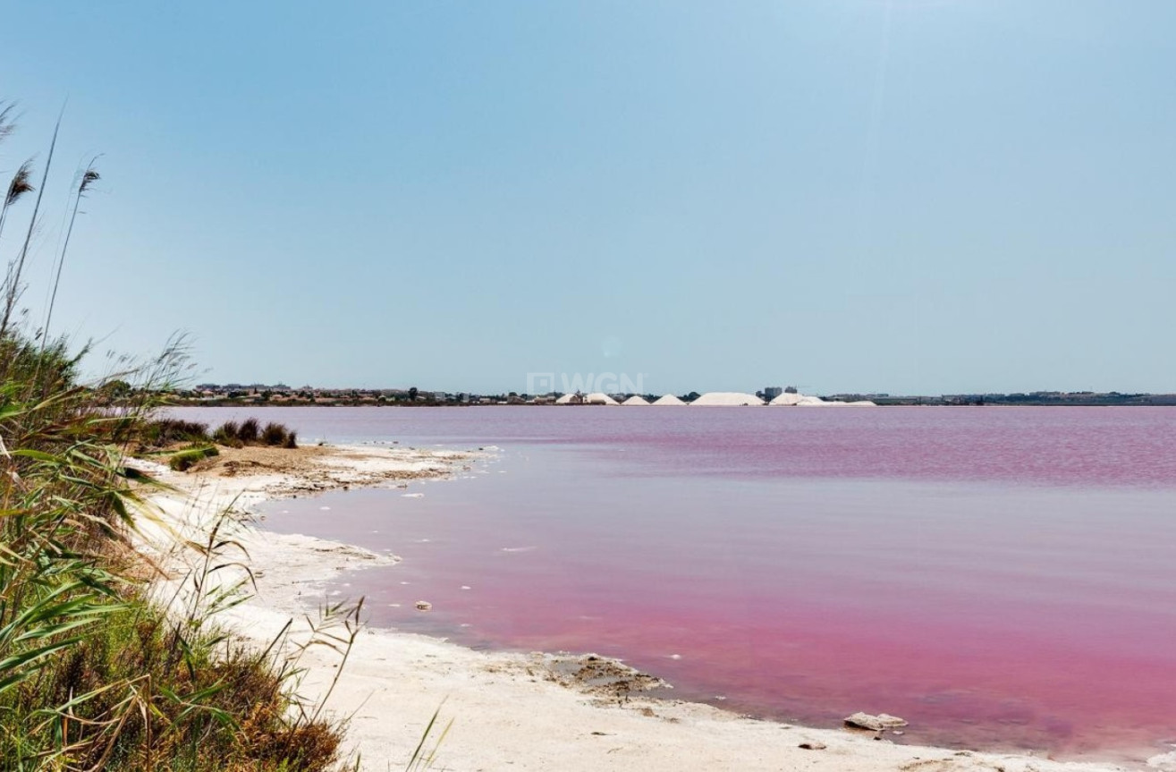 Odsprzedaż - Mieszkanie w bloku - Torrevieja - Costa Blanca