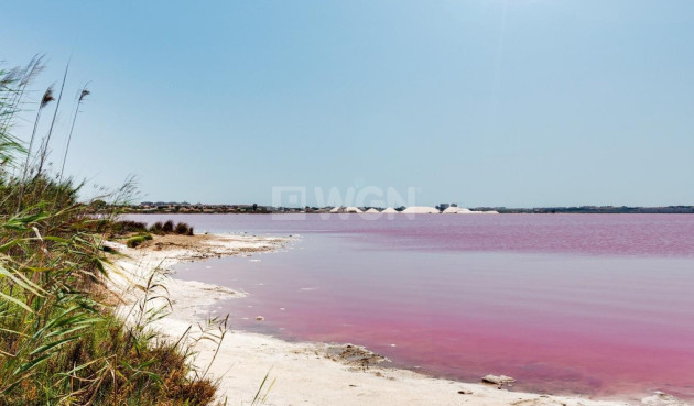 Odsprzedaż - Mieszkanie w bloku - Torrevieja - Costa Blanca