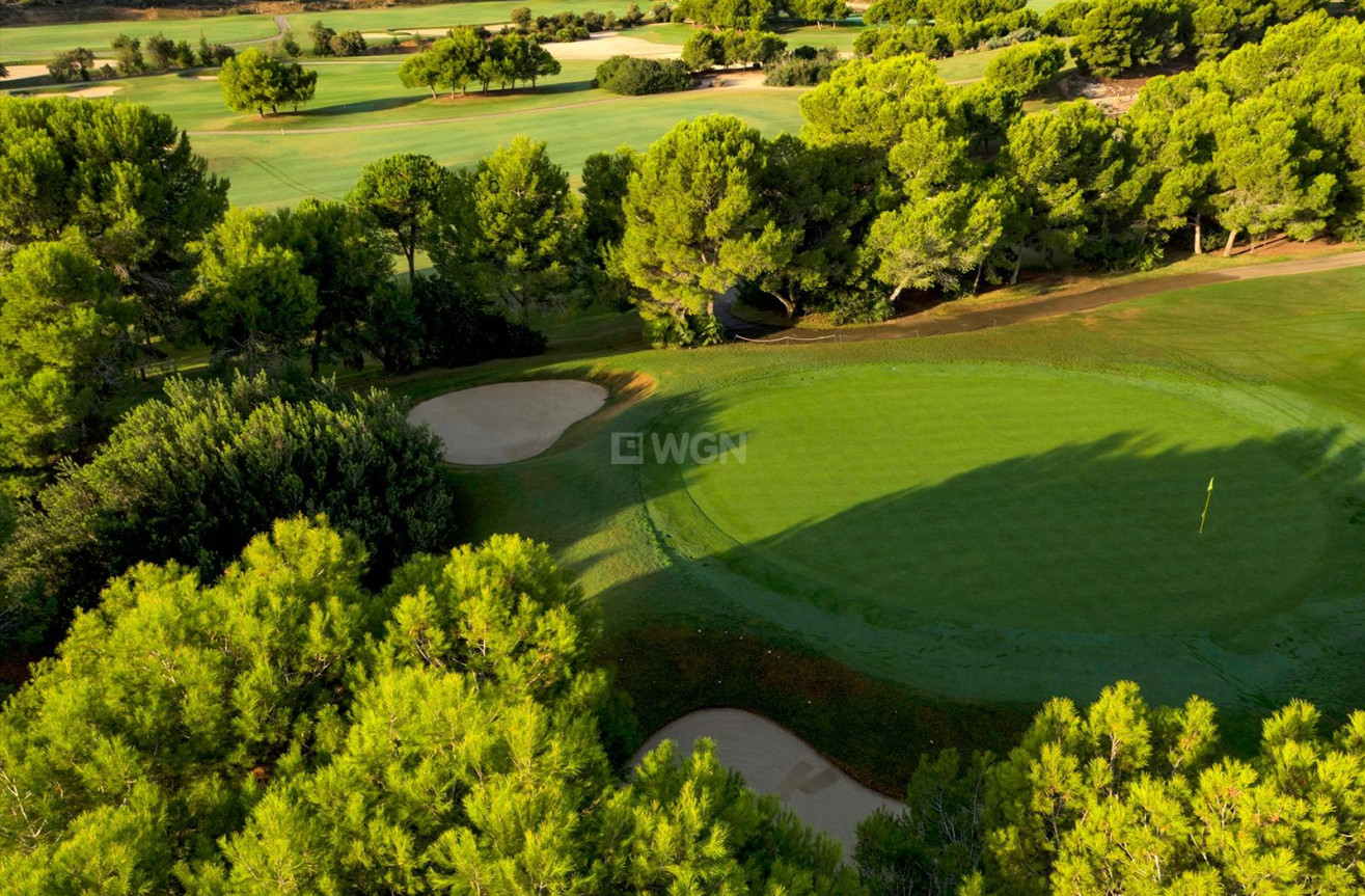 Obra nueva - Villa - Pilar de la Horadada - Lo Romero Golf