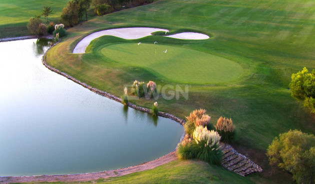 Obra nueva - Villa - Pilar de la Horadada - Lo Romero Golf