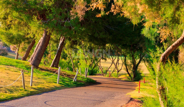 Obra nueva - Villa - Pilar de la Horadada - Lo Romero Golf