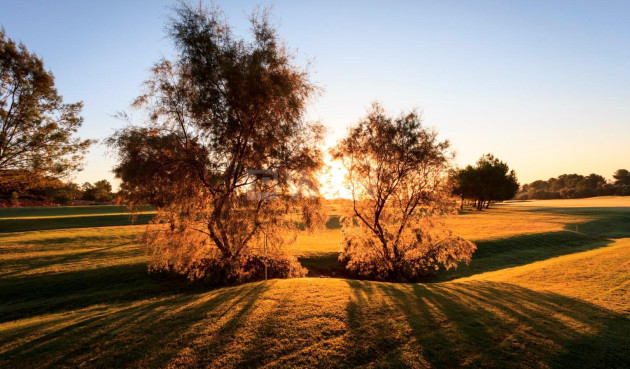 Obra nueva - Villa - Pilar de la Horadada - Lo Romero Golf