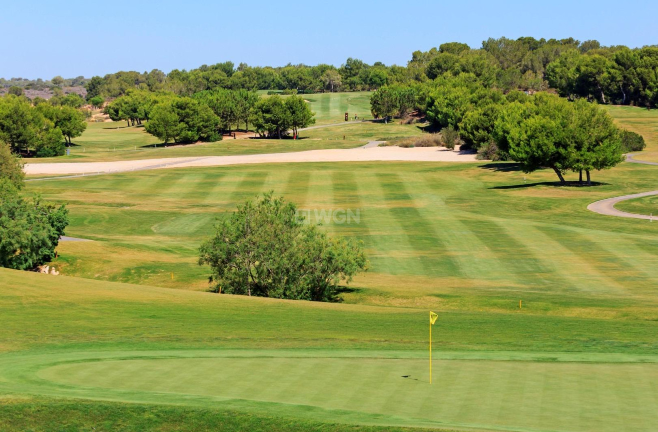 Obra nueva - Villa - Pilar de la Horadada - Lo Romero Golf