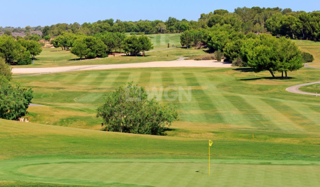 Obra nueva - Villa - Pilar de la Horadada - Lo Romero Golf