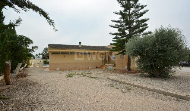 Reventa - Country House - Almoradí - Inland