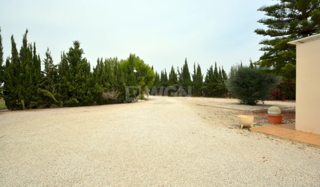 Reventa - Country House - Almoradí - Inland