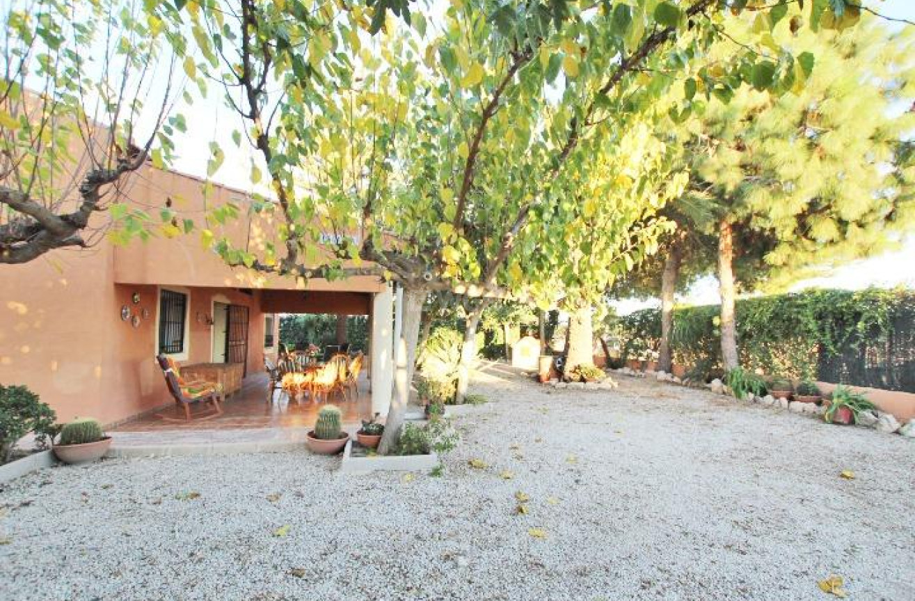 Resale - Finca - Almoradí - Comunidad Valenciana