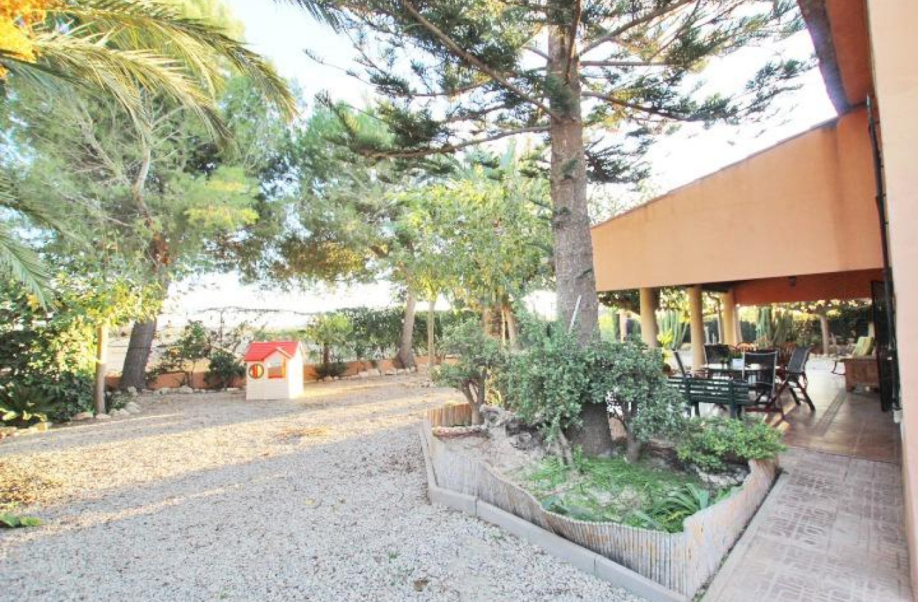 Resale - Finca - Almoradí - Comunidad Valenciana