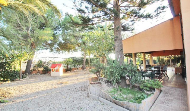 Resale - Finca - Almoradí - Comunidad Valenciana