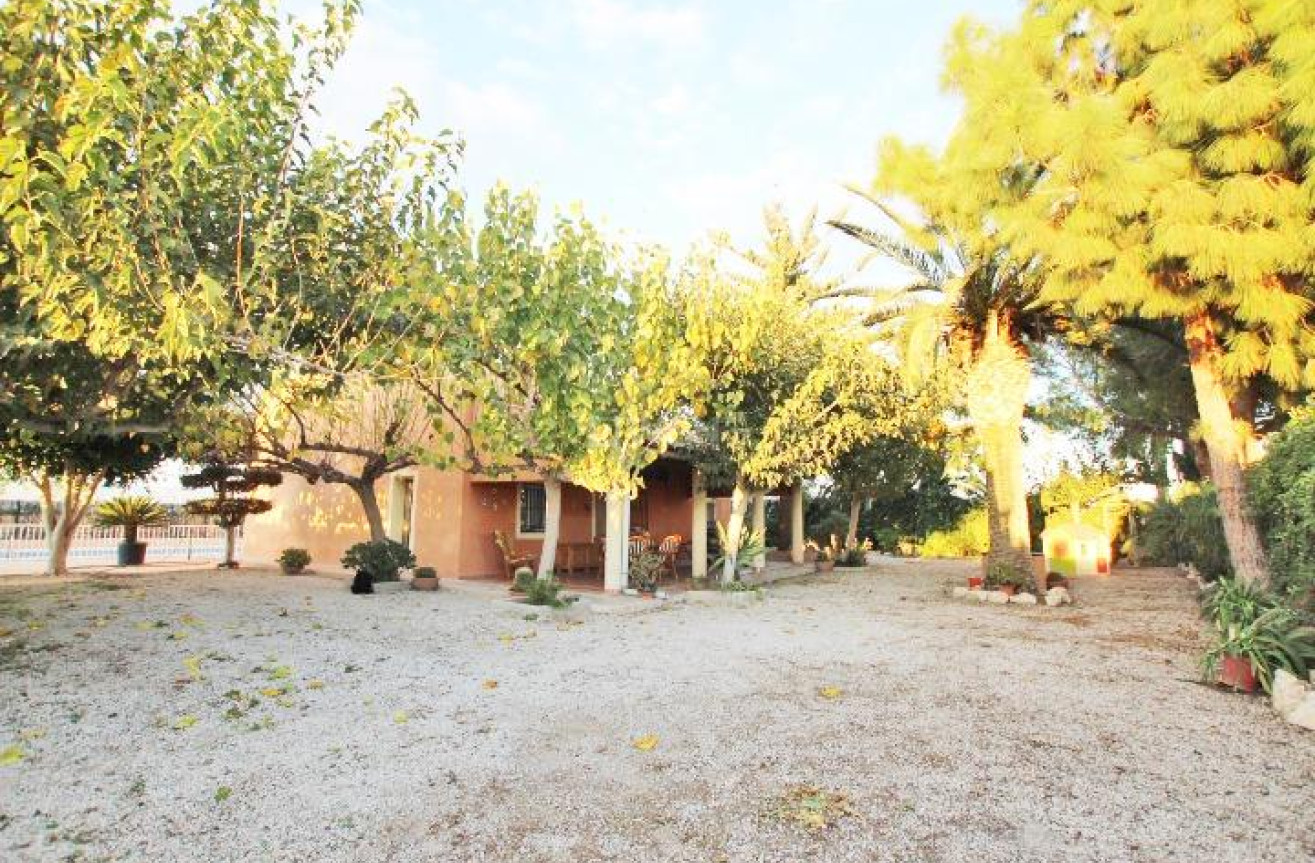 Resale - Finca - Almoradí - Comunidad Valenciana