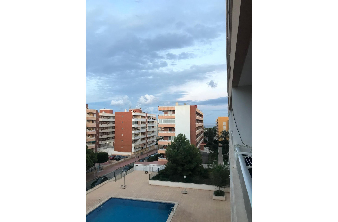 Odsprzedaż - Mieszkanie w bloku - Torrevieja - Punta Prima