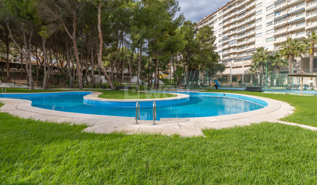 Reventa - Apartamento / piso - Orihuela Costa - Costa Blanca