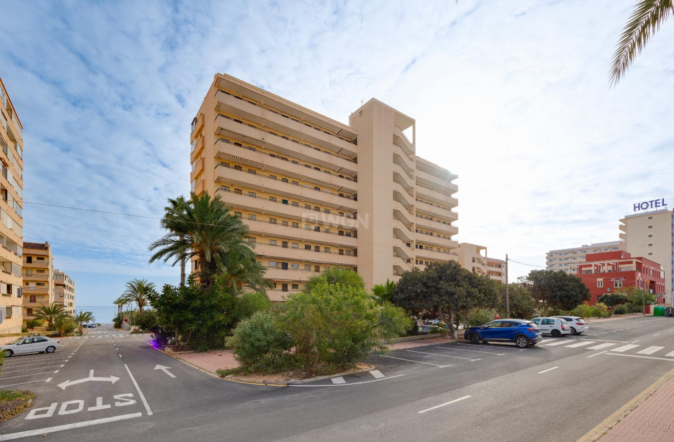 Odsprzedaż - Mieszkanie w bloku - Torrevieja - Costa Blanca