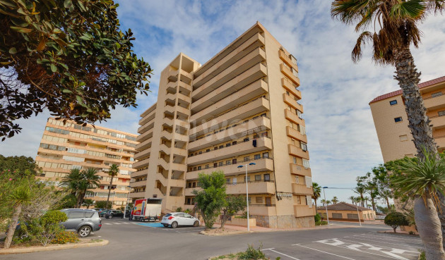 Odsprzedaż - Mieszkanie w bloku - Torrevieja - Costa Blanca