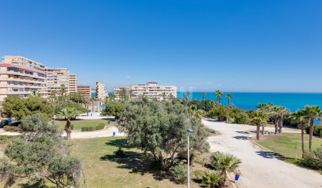 Odsprzedaż - Mieszkanie w bloku - Torrevieja - Costa Blanca