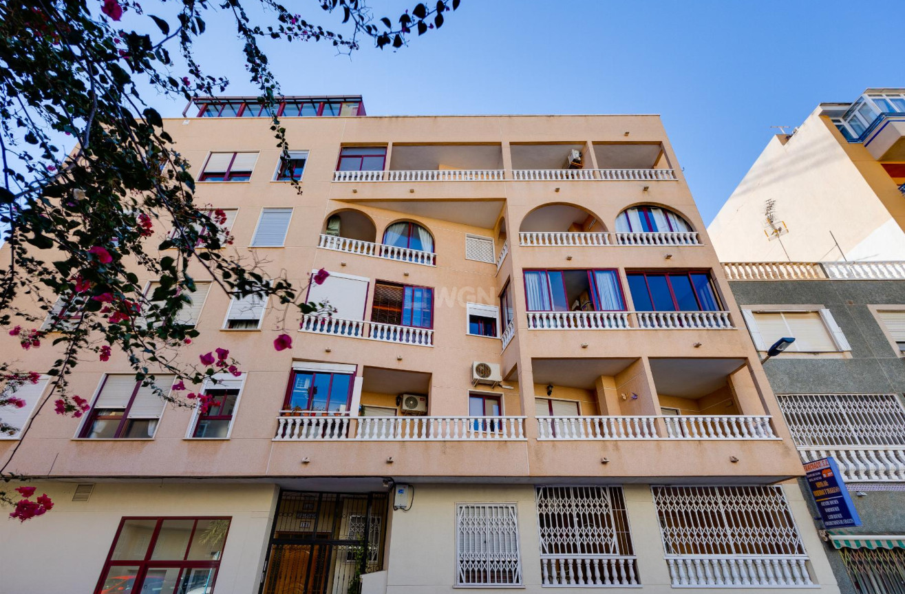 Resale - Apartment / flat - Torrevieja - Costa Blanca