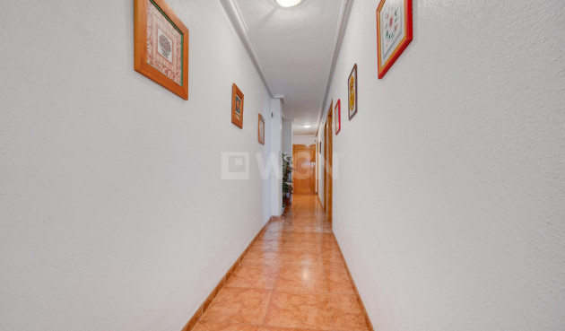 Reventa - Apartamento / piso - Torrevieja - Costa Blanca