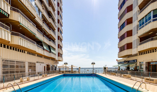 Reventa - Apartamento / piso - Torrevieja - Costa Blanca