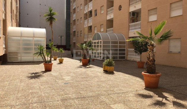 Reventa - Apartamento / piso - Torrevieja - Playa del Cura