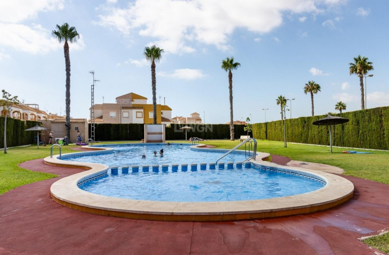 Odsprzedaż - Kamienica - Torrevieja - El Limonar