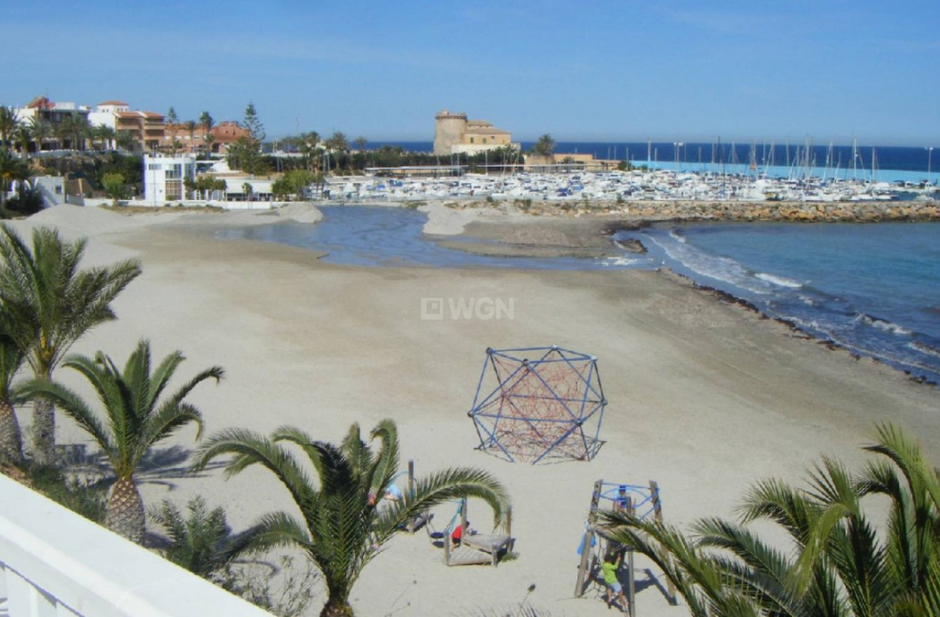 Obra nueva - Bungalow - Pilar de la Horadada - La Rambla