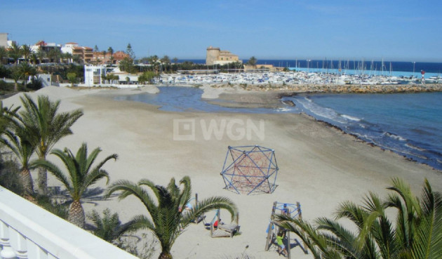 Obra nueva - Bungalow - Pilar de la Horadada - La Rambla