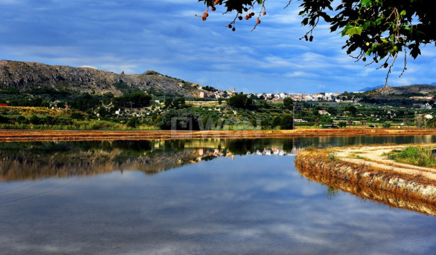 Nowy budynek - Villa - Calasparra - Coto Riñales