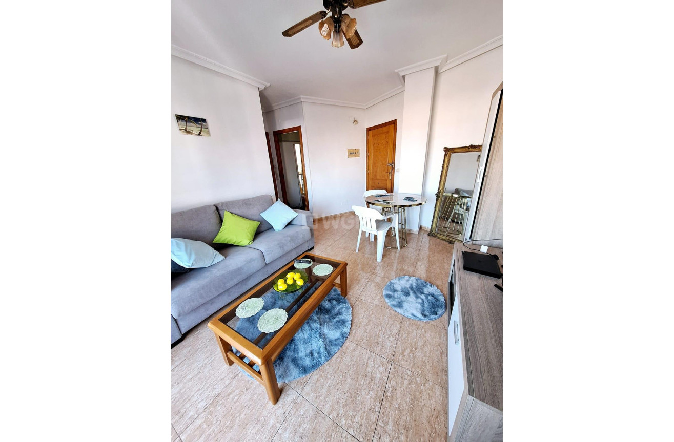 Long Term Rental - Apartment / flat - Lo Pagan - LA PUNTICA