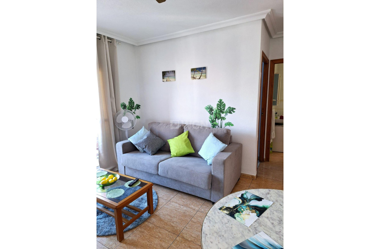 Long Term Rental - Apartment / flat - Lo Pagan - LA PUNTICA