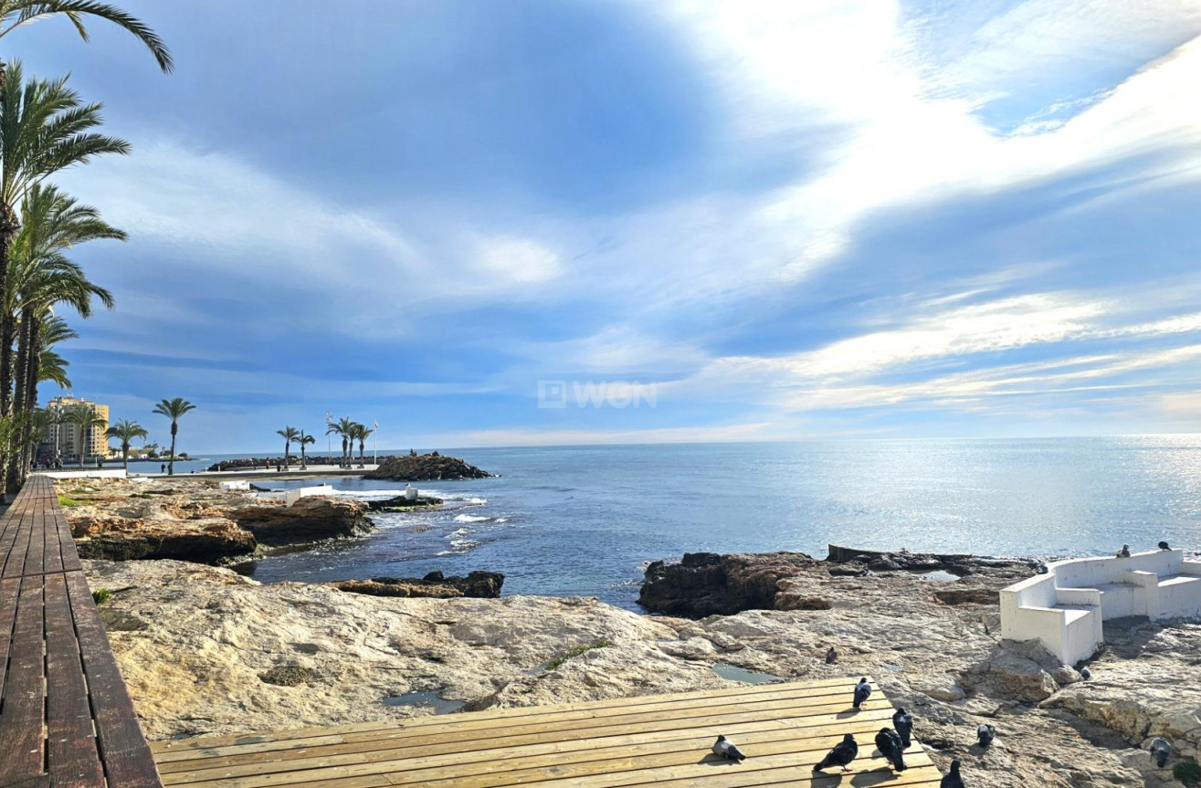 Odsprzedaż - Mieszkanie w bloku - Torrevieja - Centro