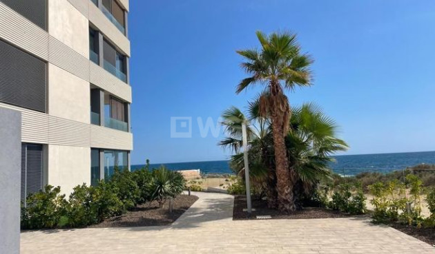 Odsprzedaż - Apartment Penthouse - Punta Prima - Costa Blanca