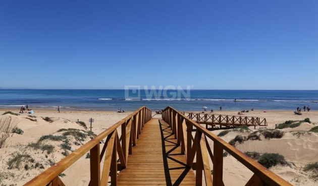 New Build - Apartment / flat - Torrevieja - La Mata