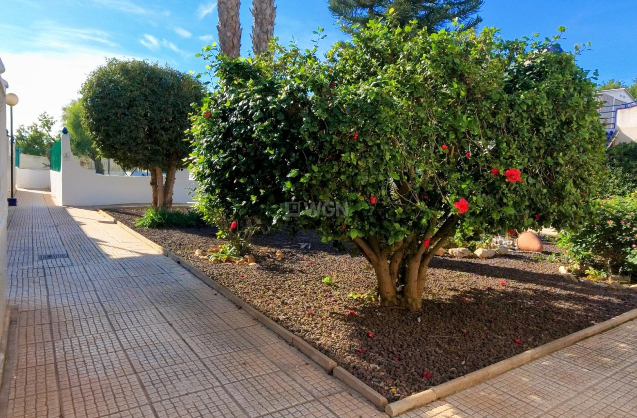 Resale - Townhouse - Torrevieja - Carrefour