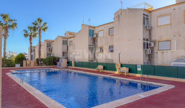 Odsprzedaż - Mieszkanie w bloku - Torrevieja - Costa Blanca